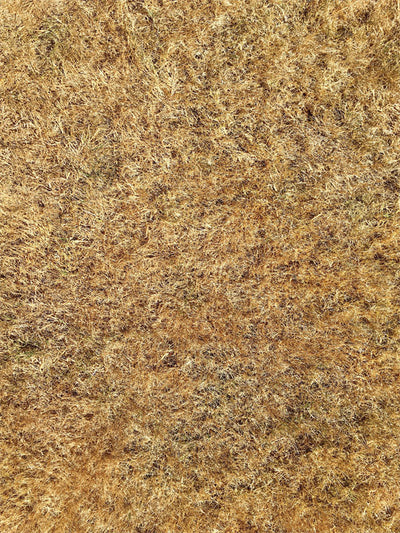 Dry Grass Photography Floordrop