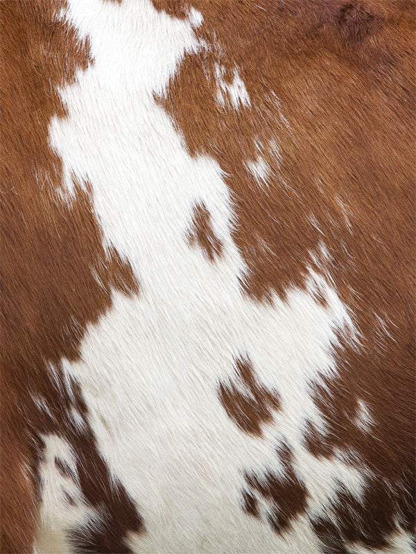 Brown Cow Spots Patterned Vinyl Sheet