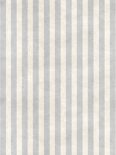 Gray Stripe Printed Photography Backdrop