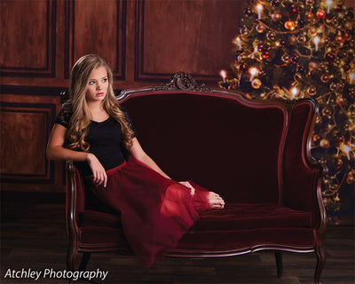 Elegant Christmas Photography Backdrop
