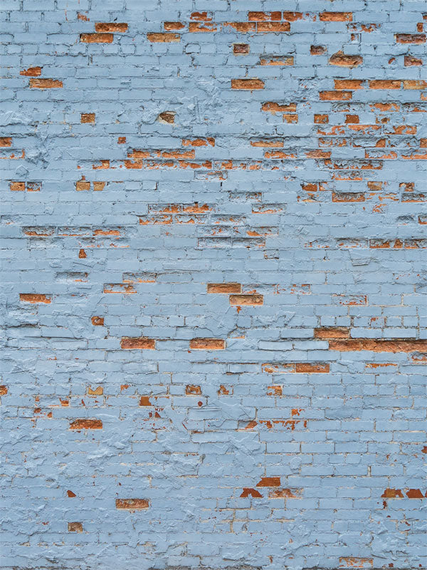 Blue Robin Brick Wall Printed Photography Backdrop