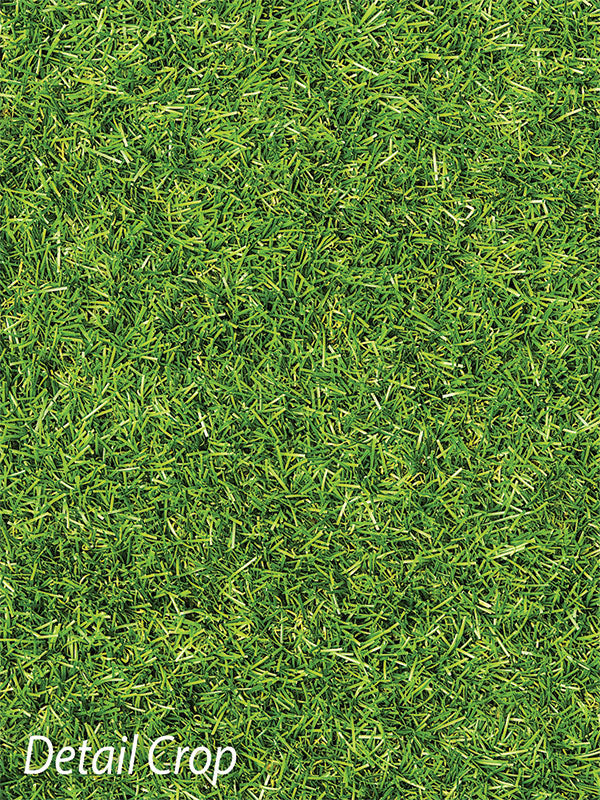 LARGE 8ft x 8ft store Vinyl Photography Backdrop / Floordrop / Bright Green Grass Floor