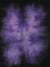 Purple People Eater Hand Painted Photo Backdrop