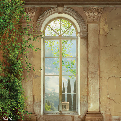 A stunning photography backdrop featuring an antique arched window set within a weathered stone wall, overlooking a misty countryside.