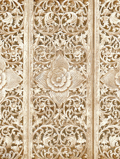 Antique Floral Photography Backdrop - Antique floral photography backdrop with intricate beige and gold patterns.