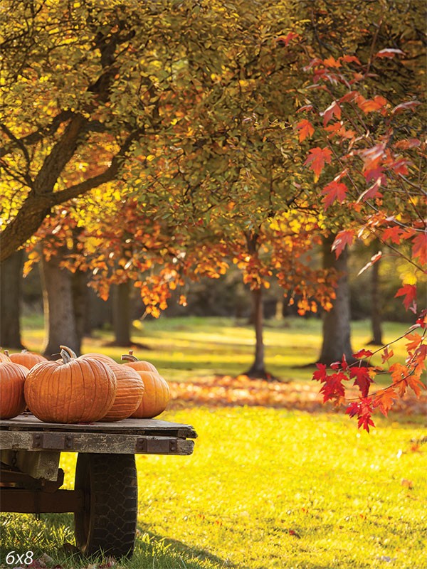 Autumn Harvest Pumpkin Park Photography Backdrop - Serene autumn scene with a wooden cart filled with pumpkins in a park, surrounded by tall trees with vibrant fall foliage and sunlight filtering through, casting a warm glow over the green grass sprinkled with fallen leaves.