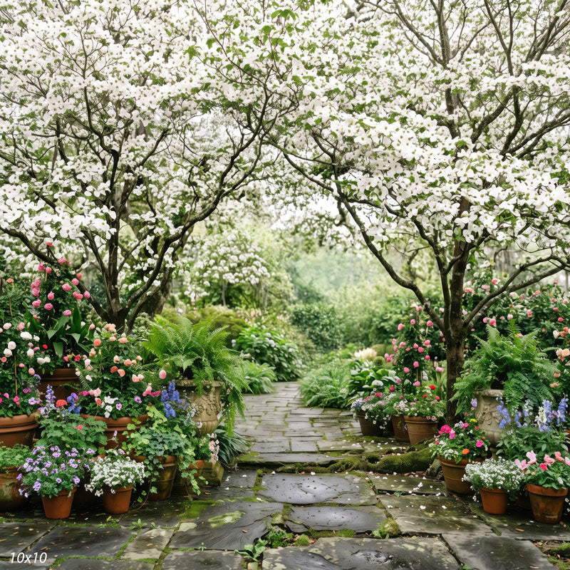 Wider view of the dogwood garden showing two flowering trees, more potted flowers and a broader blossom canopy over the path, a floral scenic photography backdrop.