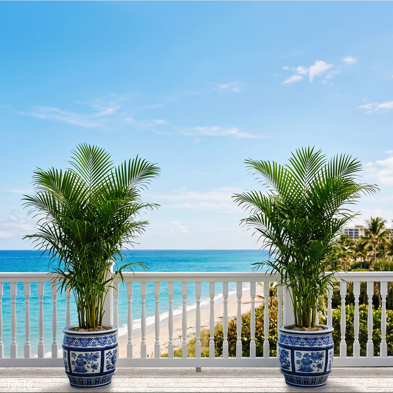 Wider view of the palm deck showing both porcelain planters in full, more railing and open sky and distant coastline, a scenic photography backdrop.