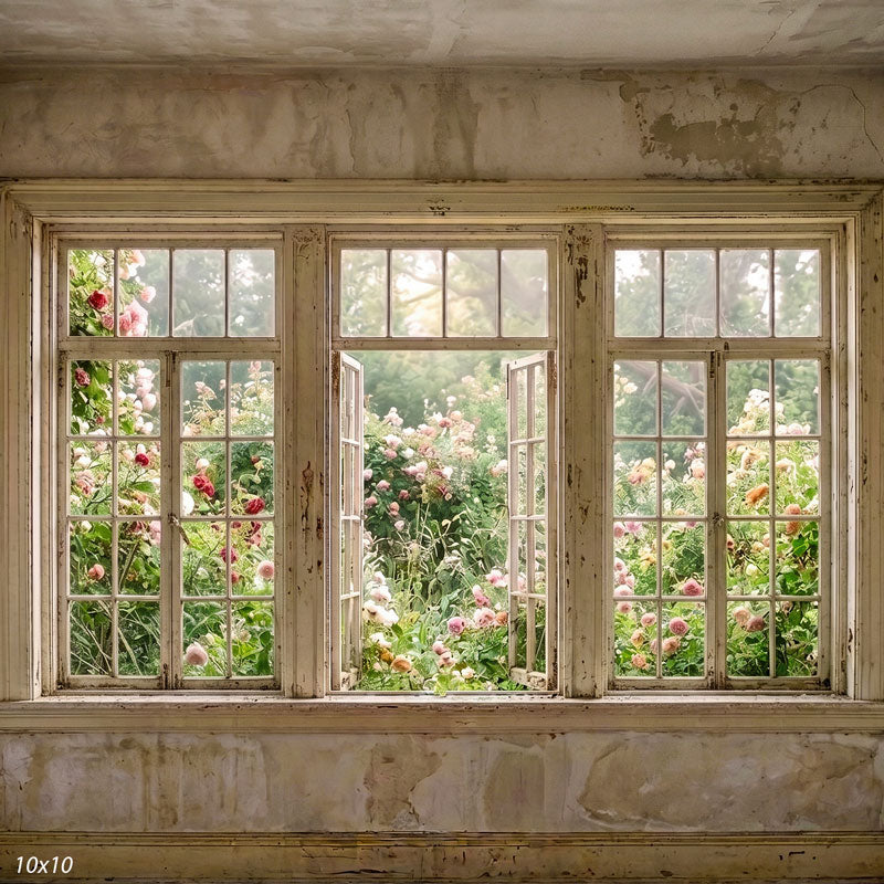 Wider view showing three distressed white windows, aged plaster walls, and the full rose garden in bloom beyond, a romantic photography backdrop.