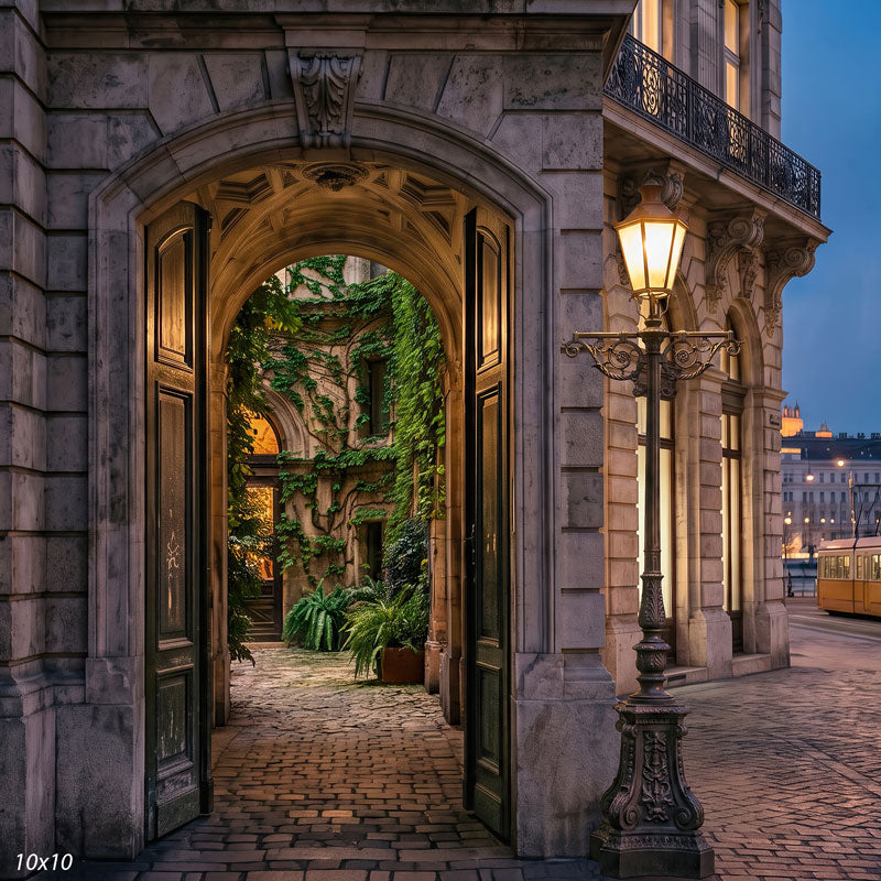 Wider view through the stone archway into the ivy courtyard, showing more of the cobblestones and lamppost, a scenic photography backdrop.