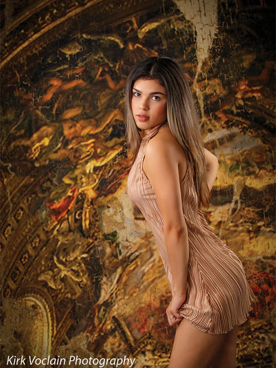 Fresco Baroque Ceiling Mural Backdrop for Classic Photography