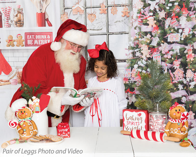 Gingerbread Christmas Kitchen Printed Backdrop