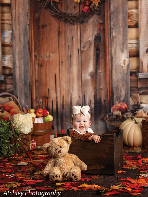 Brown Fall Door Backdrop