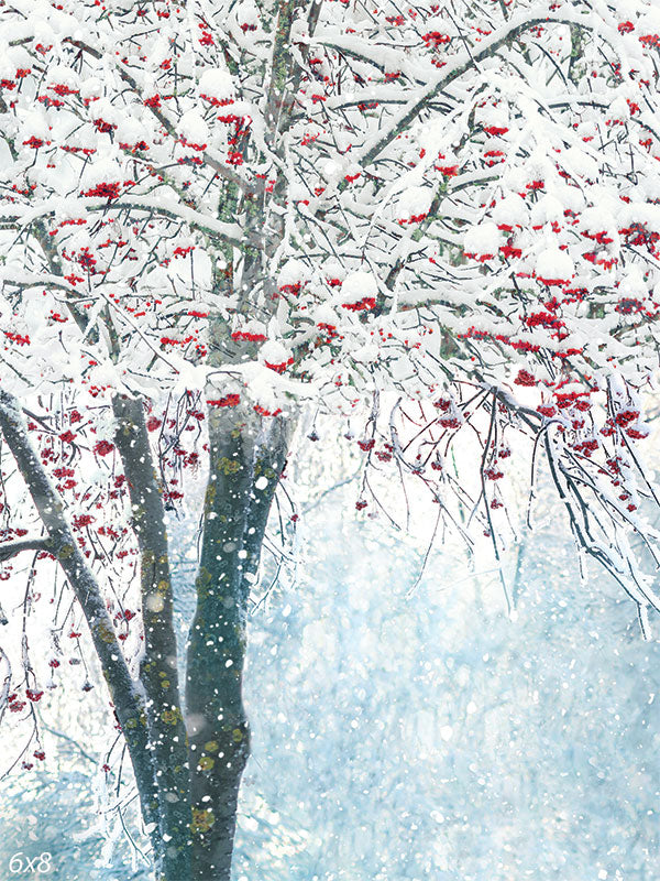 Winter Berries Backdrop and Latte Concrete Floor Drop Bundle