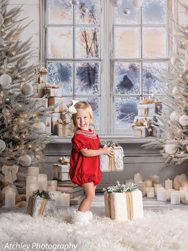 Cozy Winter Window Photography Backdrop