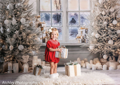 Farmhouse Christmas Backdrop