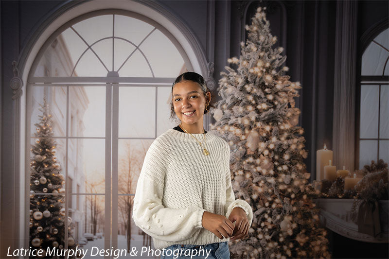 Elegant Winter Wonderland Photography Backdrop