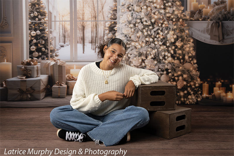 Elegant Winter Wonderland Photography Backdrop