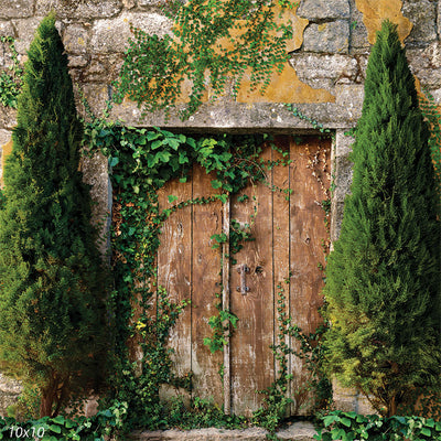 Summer Cottage Door Backdrop