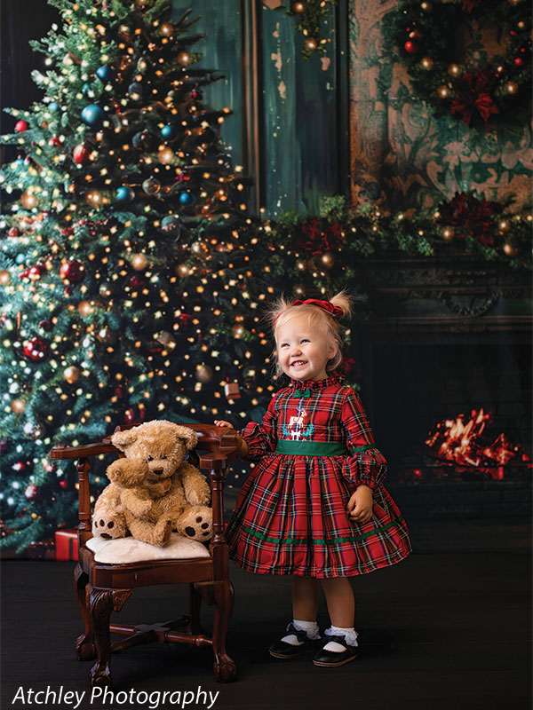 Christmas Faded Victorian Photography Backdrop