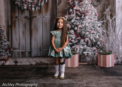 Christmas Winter Cabin Photography Backdrop