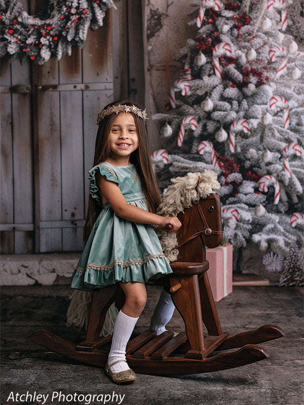 Christmas Winter Cabin Photography Backdrop