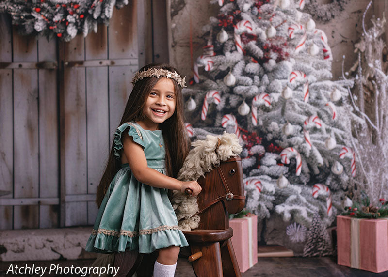 Christmas Winter Cabin Photography Backdrop