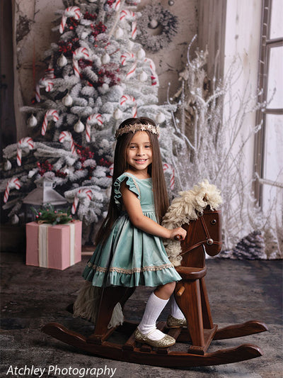 Christmas Winter Cabin Photography Backdrop