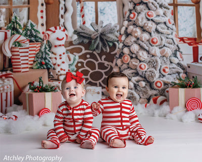 Gingerbread Cottage Photography Backdrop