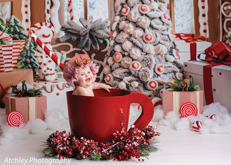 Gingerbread Cottage Photography Backdrop