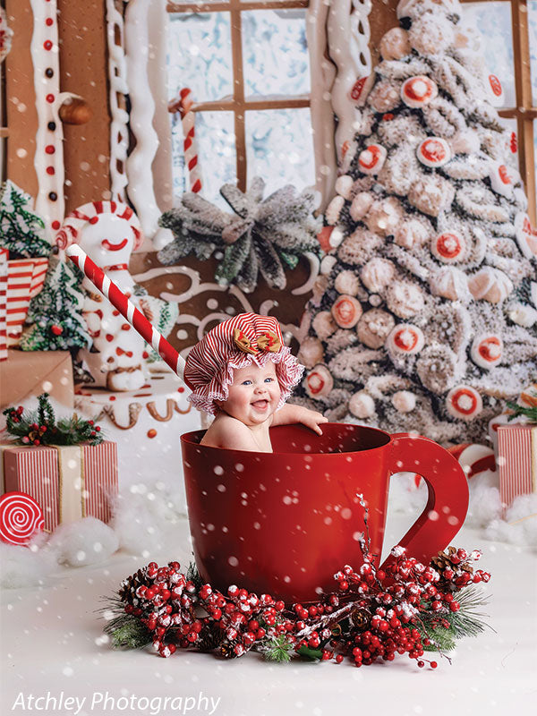 Gingerbread Cottage Photography Backdrop