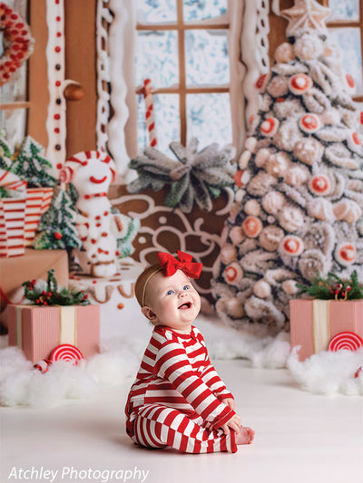 Gingerbread Cottage Photography Backdrop