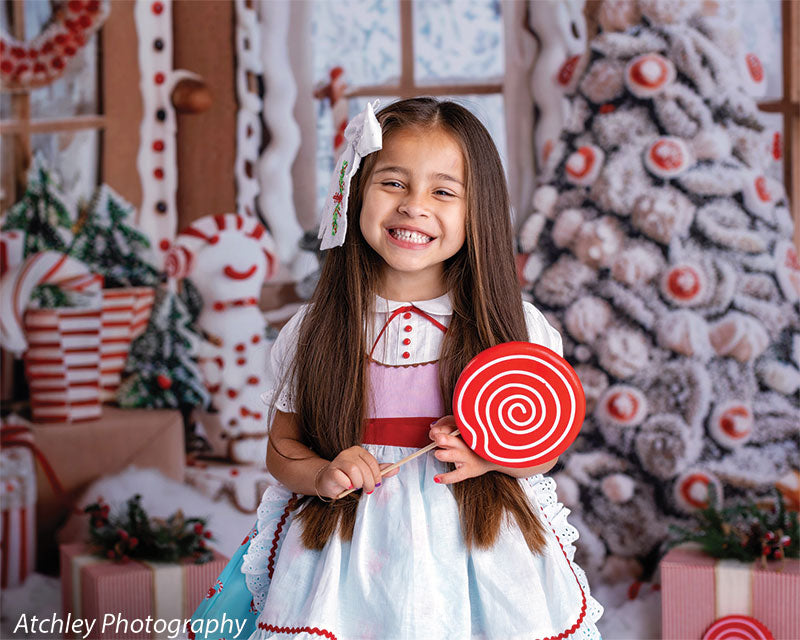 Gingerbread Cottage Photography Backdrop