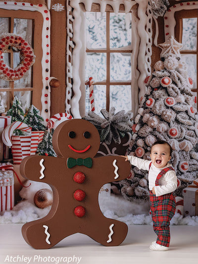 Gingerbread Cottage Photography Backdrop