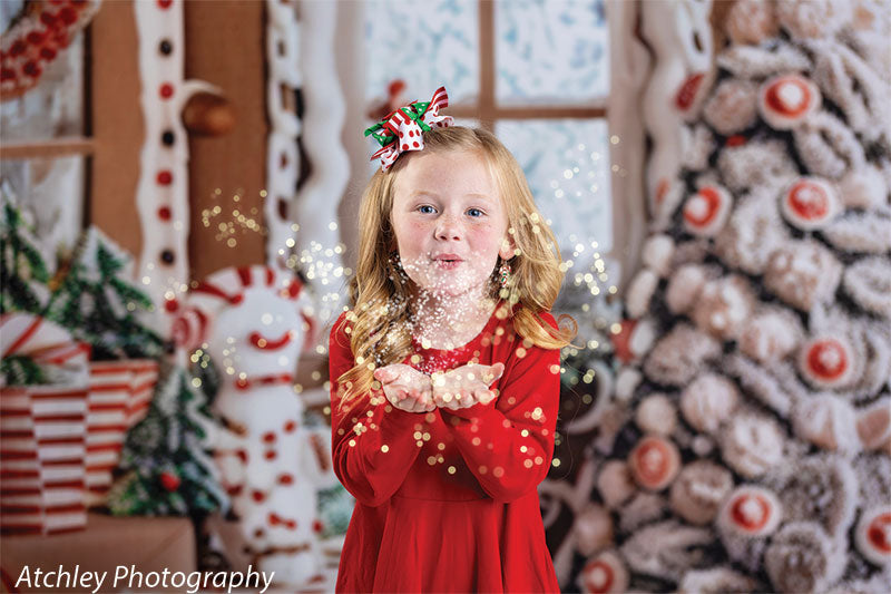 Gingerbread Cottage Photography Backdrop