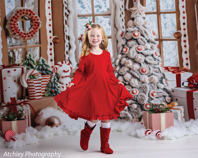 Gingerbread Cottage Photography Backdrop