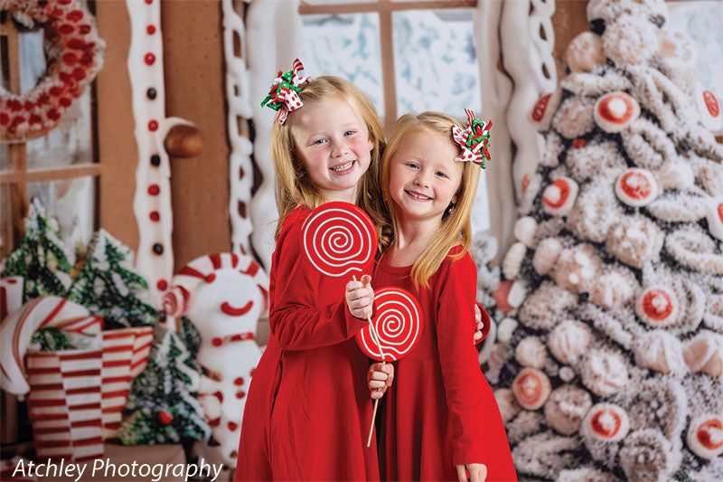 Gingerbread Cottage Photography Backdrop