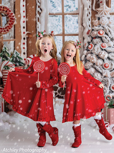 Gingerbread Cottage Photography Backdrop