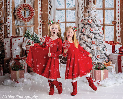 Gingerbread Cottage Photography Backdrop