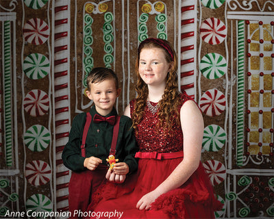 Gingerbread House Photography Backdrop