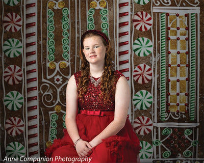 Gingerbread House Photography Backdrop