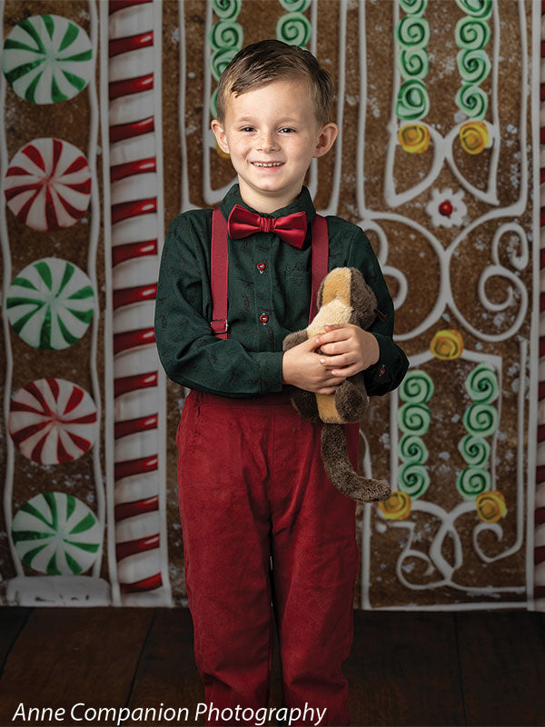 Gingerbread House Photography Backdrop