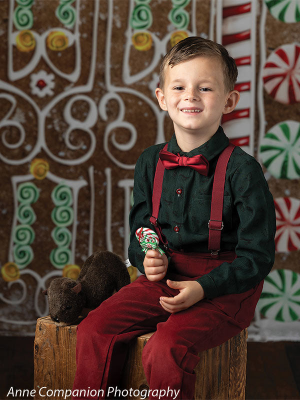 Gingerbread House Photography Backdrop