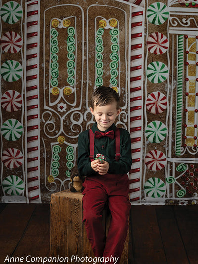 Gingerbread House Photography Backdrop