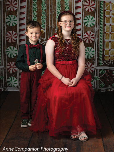 Gingerbread House Photography Backdrop