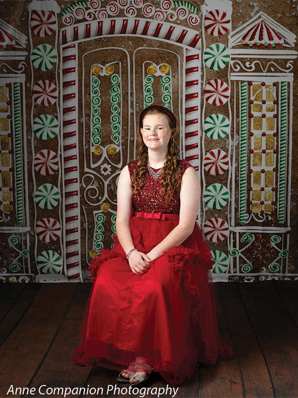 Gingerbread House Photography Backdrop