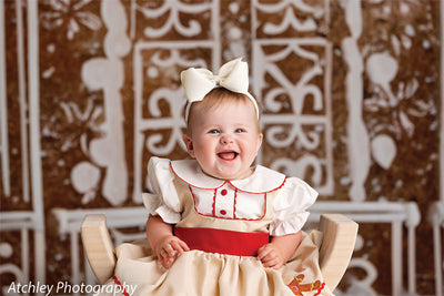 Gingerbread Windows Photography Backdrop