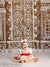 Gingerbread Windows Photography Backdrop