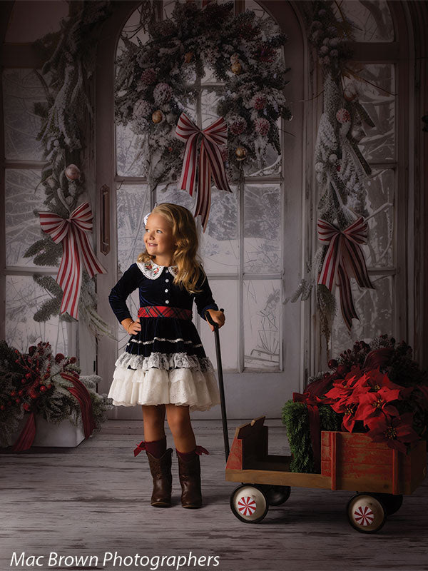 Christmas Peppermint Door Photography Backdrop