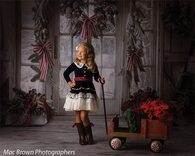 Christmas Peppermint Door Photography Backdrop